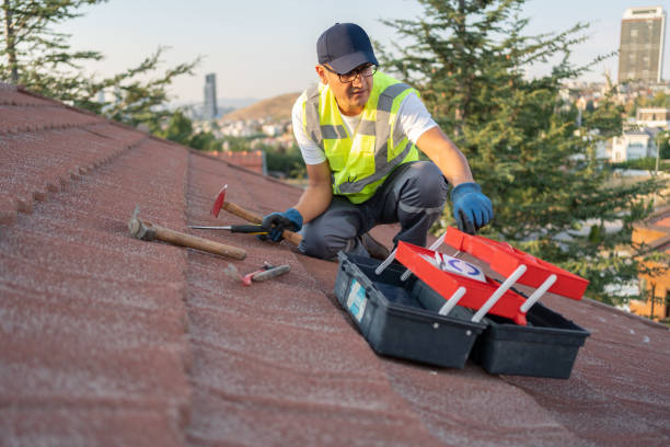 Best Fascia and Soffit Installation  in Calumet City, IL